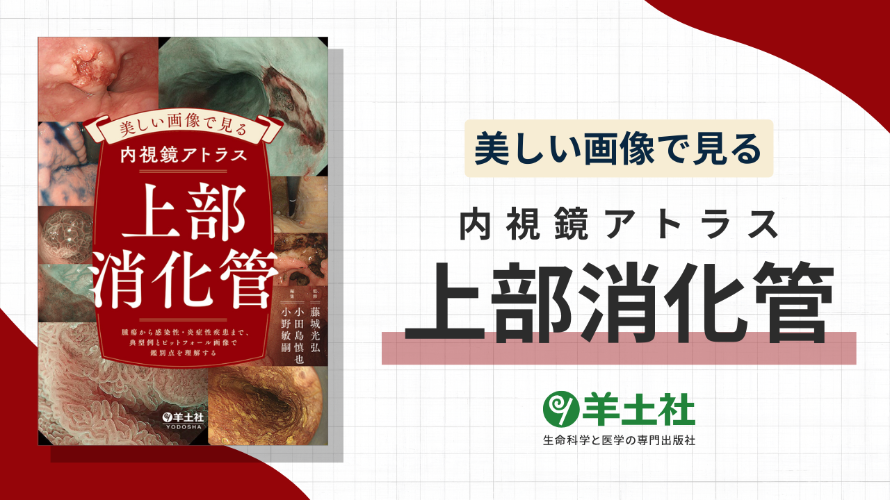 美しい画像で見る内視鏡アトラス　上部消化管