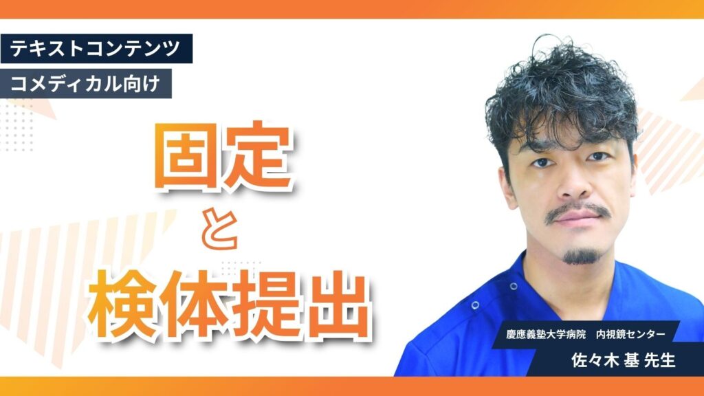 固定・提出